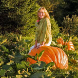 2010 Great Pumpkin